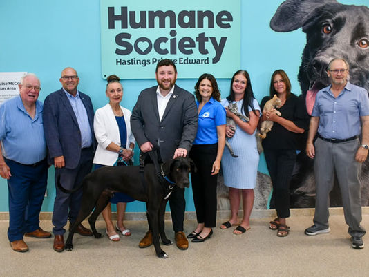 Humane Society Secures $25,000 in Funding for Rescue Companionship Program