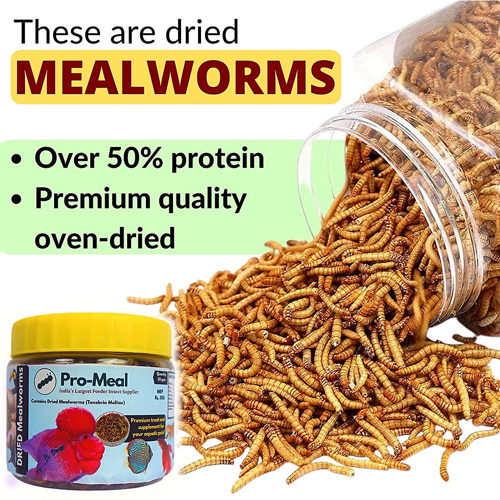 Promeal Dried Mealworm
