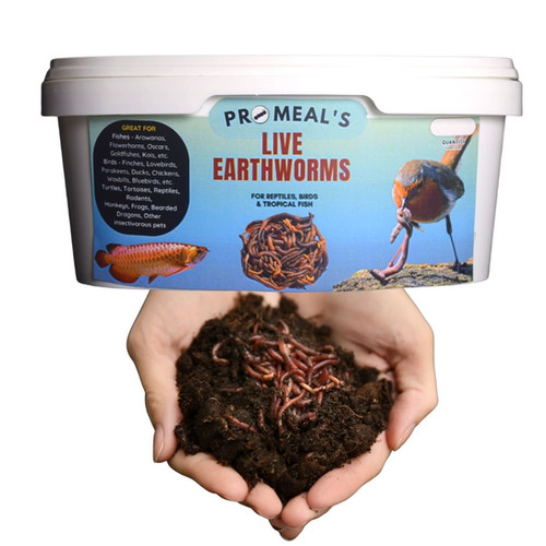 Promeal Live Earthworms (Eisenia fetida) High Protein Treat Food For