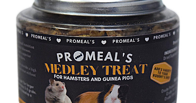 Medley Treat Insect Mix for Hamsters