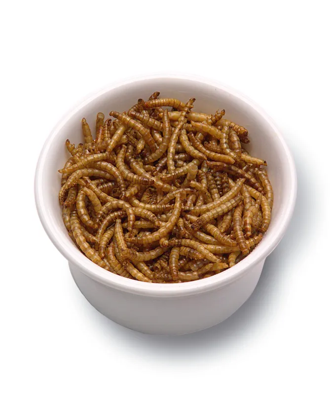 The Ultimate Guide to Arowana Fish Food Best Choices for a Healthy and