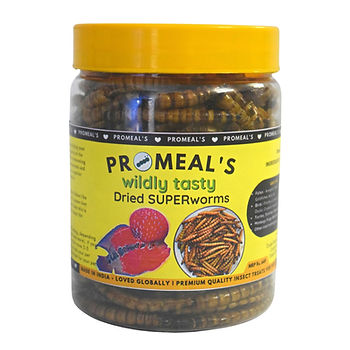 Promeal Wildly Superworms
