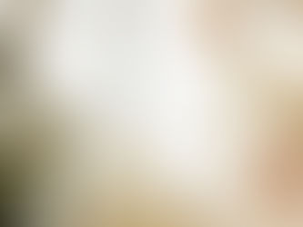 Mealworms as a Treat for Swans, Geese, and Ducks: Nutritional Benefits and Feeding Tips