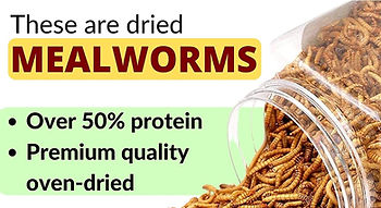 Nutrition Values of Promeal Dried Mealworm
