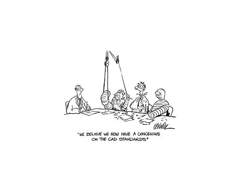 Standards Cartoon.jpg