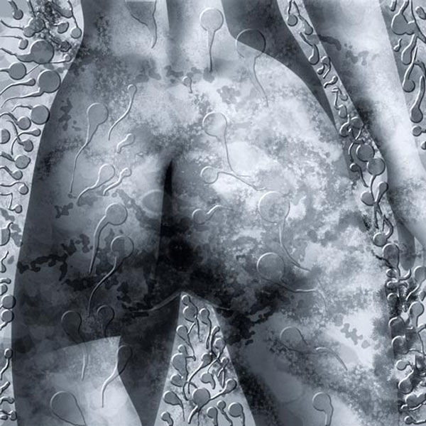 fesses-nb1