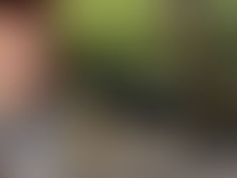 «Տարին տարու վրա Երևանը դադարում է լինել հանգիստ ու ապրելու համար հարմարավետ»․ Արշալույս Մղդեսյան