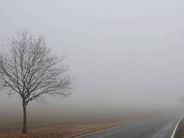 Շիրակի մարզում և Չարենցավան քաղաքում մառախուղ է. իրավիճակն` ավտոճանապարհներին