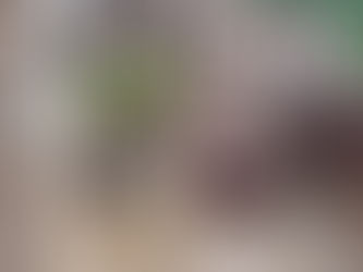 19:30 դրությամբ աղետի գոտում կա 3 զnh. ՆԳՆ