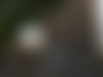 «Փաստ». Տարիներով խախտում՝ զրո վարույթ. ինչո՞ւ Հակակոռուպցիոն կոմիտեն «չի տեսնում» ակնհայտը