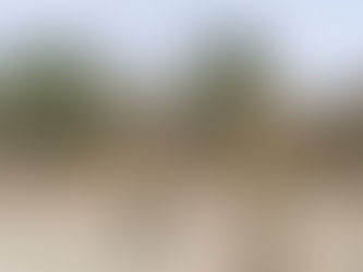 Ալիևները մեկնել են Արցախ