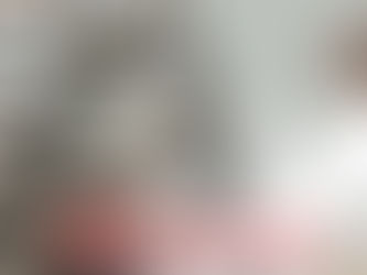 «Իշխան» ձկնատեսակի գինը նոյեմբերին աճել է 13.7%-ով. թվեր. «Ժողովուրդ»