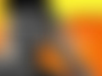 ՏԵՂԵԿԱՆՔ № 29՝ Նիկոլ Փաշինյանին ընտրածների համար