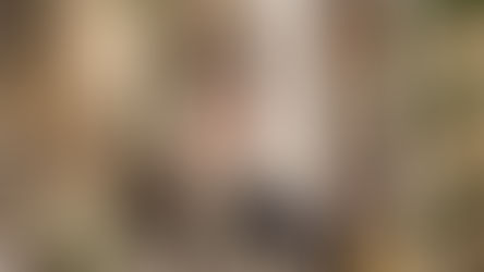 Հակառակ անօրինական ու կանոնախախտ գործողությունների՝ մեր Սուրբ Եկեղեցին իր բարեպաշտ ժողովրդով ամուր ու անսասան է, հավատարիմ իր տերունաշնորհ կոչմանն ու առաքելությանը. Վեհափառի պատգամը