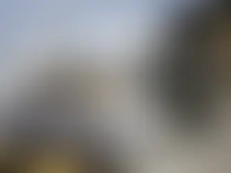 Հայտնի է՝ որ պետությունից է Հայաստանը ստացել ամենաշատ մարդասիրական օգնությունը