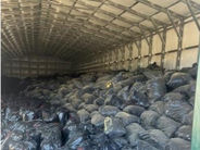 Ոստիկանությունը հայտնաբերել է լքված շինություն, որն ամբողջությամբ լցված էր 100 մլն դոլար արժողությամբ մարիխուանայով