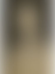 Գերմանական բանակի գեներալի վկայությունն առ այն, որ հայոց ցեղասպանությունը ծրագրված է եղել