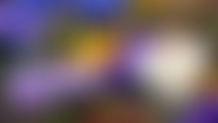 Օդի ջերմաստիճանը կբարձրանա․ եղանակն՝ առաջիկա օրերին