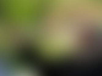 Բագրատ Սրբազանի ուղերձը «Վերջին զանգ»-ի օրվա առթիվ