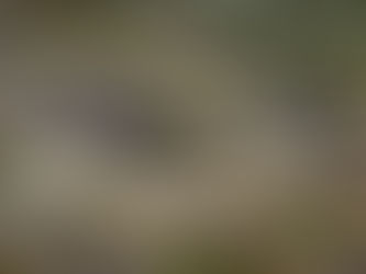 «Փաստ». Եվս մեկ ապտակ Փաշինյանին՝ իր «սիրելի» Արևմուտքից