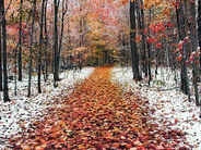 Սպասվող եղանակի մասին