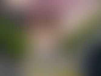 Որևէ ուսանողի կյանքին վտանգ չի սպառնում. ԲՊՀ