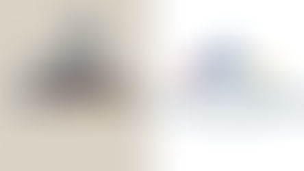 «Մայր Հայաստան»-ն ընտրություններին կմասնակցի ԲՀԿ-ի հետ՝ Գագիկ Ծառուկյանի «Առաջարկ Հայաստանին» ծրագրով