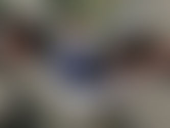 Սուրեն Պապիկյանը աշխատանքային այցով մեկնել է Ֆրանսիա