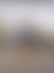 Բագրատաշենի մաքսատան տնօրենը հանդիպումներ է ունենում վարչական ղեկավարների հետ ու խոստանում` Փաշինյանի վերընտրվելն ապահովելու պարագայում, նրանց նկատմամբ կցուցաբերվի արտոնյալ վերաբերմունք. Ականատես