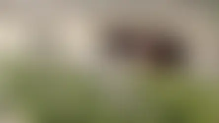 ՊՆ-ն արձագանքել է պարգևավճարների մասին տեղեկությանը