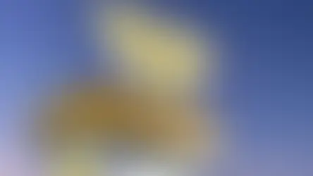 Հայաստանում հեղուկ գազը թանկացել է․ տնտեսագետը մանրամասնում է