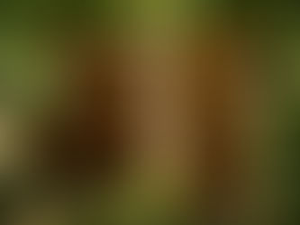 «Փաստ». Ինչպե՞ս է լուծվելու հայկական գյուղմթերքի արտահանման խնդիրը