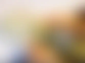 Ռուբլին և դոլարն էժանացել են. դեկտեմբերի 18-ի փոխարժեքը