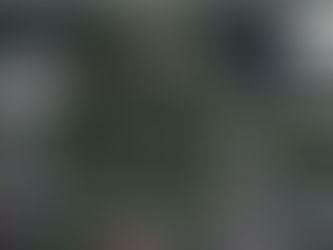 CNN-ը պարզել է, թե որտեղից և ինչ հեռավորությունից են կրակել Թրամփի վրա