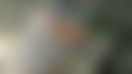 Տարադրամի փոխարժեքները մարտի 14-ի դրությամբ