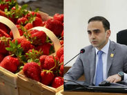 «Հրապարակ». «Հրապարակ»․ Ելակն արտահանում են թուրքականի անվան տակ