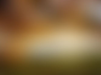 Օդի ջերմաստիճանը նոյեմբերի 6-9-ին աստիճանաբար կբարձրանա 4-6 աստիճանով