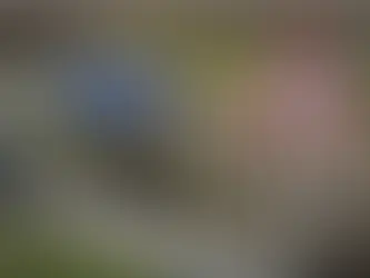 Ադրբեջանցի սահմանապահներն արդեն Կիրանցից մոտ 200-300 մ հեռավորության վրա են. Ղազարյան