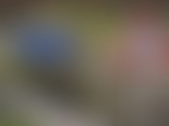 1976 թվականի քարտեզի օգտագործումն ընդամենը փաստացի կապիտուլյացիան որպես փոխզիջում ներկայացնելու դավադիր միջոց է․ ԱԱԾ պահեստազորի սպաներ