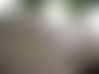 Անձը, փաստաթղթերի կեղծմամբ, խարդախությամբ, առերևույթ առանձնապես խոշոր չափերով հափշտակություն է կատարել