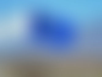 Նովոսիբիրսկի մարզում մեկնարկել են ՀԱՊԿ-ի «Կոբալտ-2024» զnրավարժnւթյnւնները. Հայաստանը չի մասնակցում