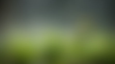 Ժամանակ առ ժամանակ սպասվում է անձրև. օդի ջերմաստիճանը կբարձրանա