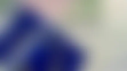 Հայաստան-ԵՄ վիզաների ազատականացման գործընթացը մտնում է նոր փուլ