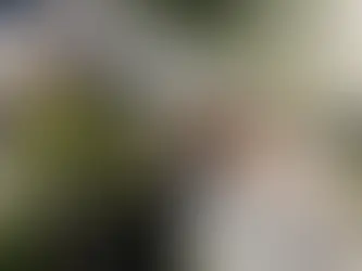 Դեկտեմբերի 20-ին երթևեկության համար կբացվի «Կորեայի ձոր» կոչվող ճանապարհը