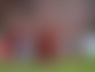 Հայաստանի հավաքականի ֆուտբոլիստների գնահատականներն Իռլանդիայի դեմ խաղում՝ ըստ Sofascore-ի