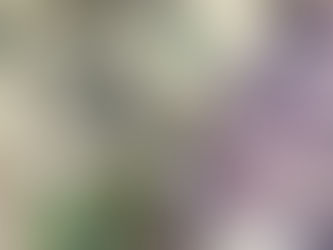 Ի՞նչ փոխարժեքներ են սահմանվել այսօր