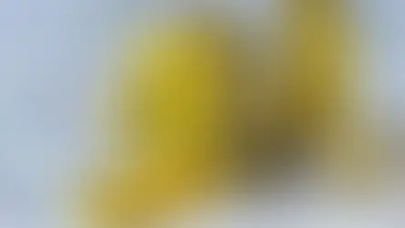 Ոսկու գինը կտրուկ անկում է ապրել