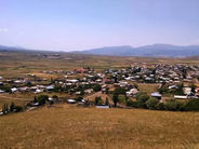 Գեղարքունիքի Ծաղկունք գյուղում գայլերի hարձակման հետևանքով 250-ից ավելի գառ ու ոչխար է uատկել