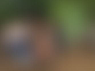 Արնանման հետքեր, ծալովի դանակ, ալկոհոլային խմիչքների ապակյա շշերի կոտրած կտորներ. ՔԿ-ն նոր մանրամասներ է հաղորդել Դիլիջանում կատարված սպանությունից