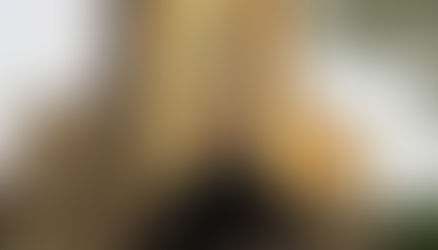 Կարգալույծ եղած նիկոլական սարկավագը նիկոլականներին կշտամբող գրառում է առել․ «Հրապարակ»